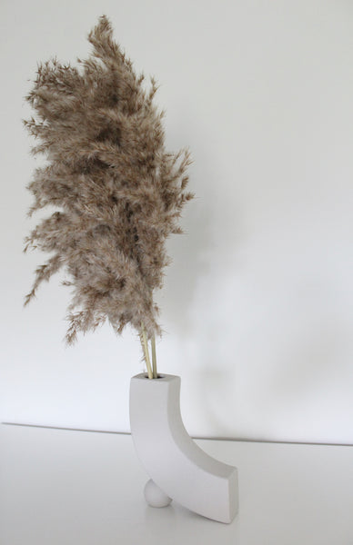 Neutral Dried Pampas Grass